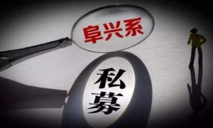 原创 
 阜兴案新进展：意隆财富总经理、副总经理被批捕 共计15人被批捕