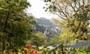 原创 
 我国北方，绝大多数庙堂大门是朝南开的，为什么崂山太清宫朝东开