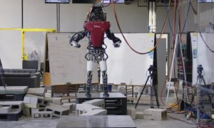 原创 
 波士顿动力双足机器人完成超难度行走测试，走的比人类还好！